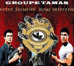 Groupe Tamas Logo