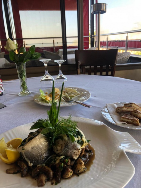 Complexe touristique Skoura (C.t. Skoura) Logo