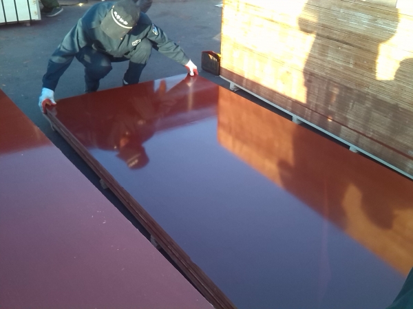 A BQ Plywood and Door Logo