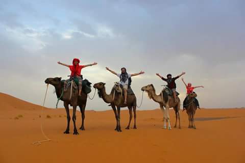 Traveling In Morocco Tours