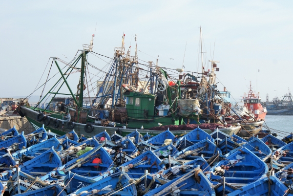 Morocco Destination Tours Company