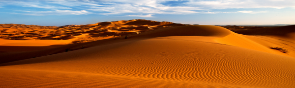 Tours from Marrakech to Fes Logo