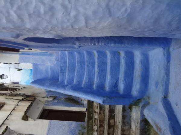 Desert Tours in Morocco Logo