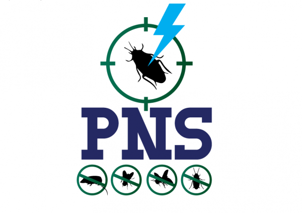 Société de dératisation Casablanca Maroc