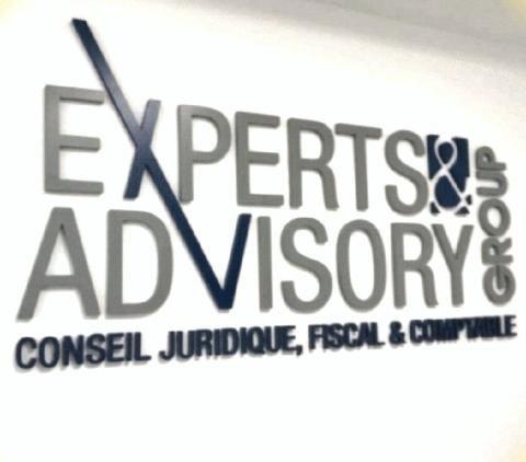 EXPERTS & ADVISORY GROUP (EAG)