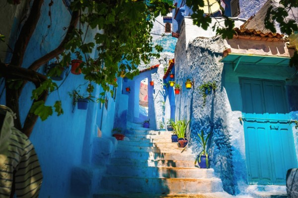 Pure Morocco Tours & Travel