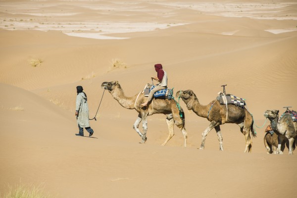 Bivouac Les Nomades Logo