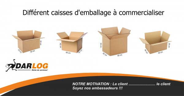 Société DAR-LOG SERVICES  Sarl (AU) Logo