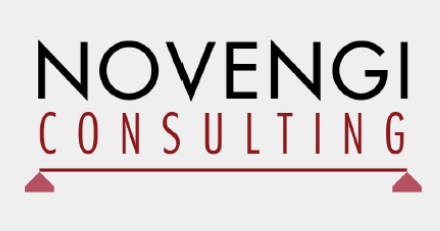 Novengi Consulting Logo