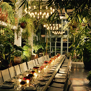 Golden Palms Events Logo