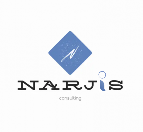 NARJIS CONSULTING