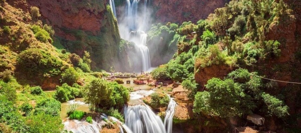 Itinerance Plus Logo