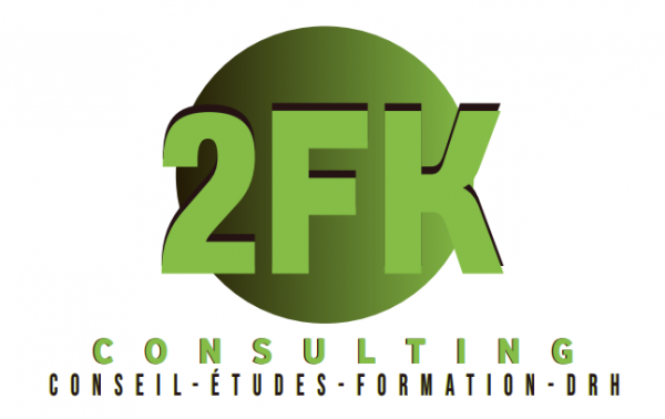 2FK CONSULTING Logo