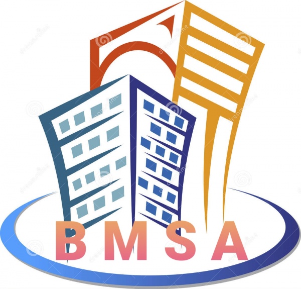 BMSA TRAVAUX Logo
