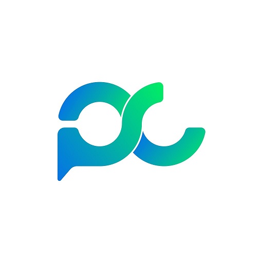 Perigon Conseil Logo