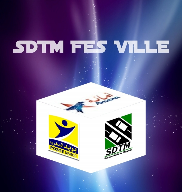SDTM (SOCIETE DE DISTRIBUTION ET TRANSPOT DE MARCHANDISES ET DE MESSAGERIES) Logo