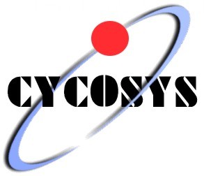 CYCOSYS (CYBER CONCEPT SYSTEME) Logo