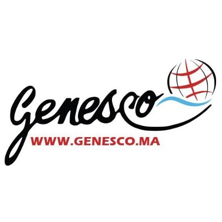 Genesco s.a.r.l. (General Business Company) Logo